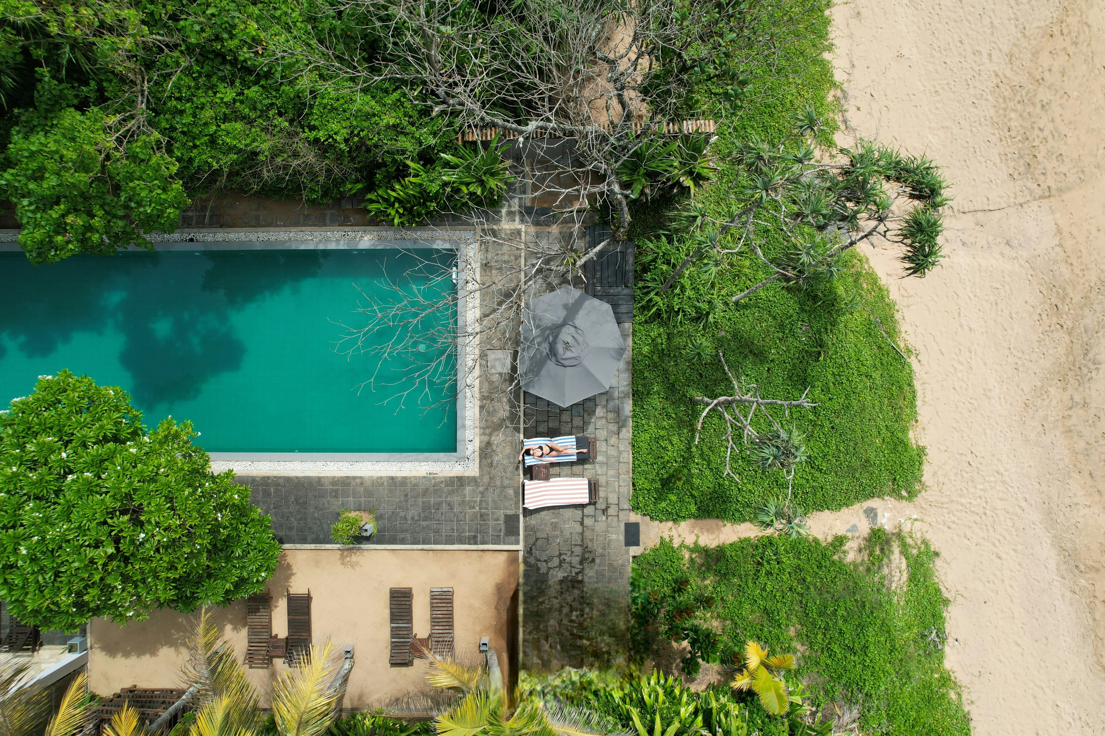 Family Paradise 1