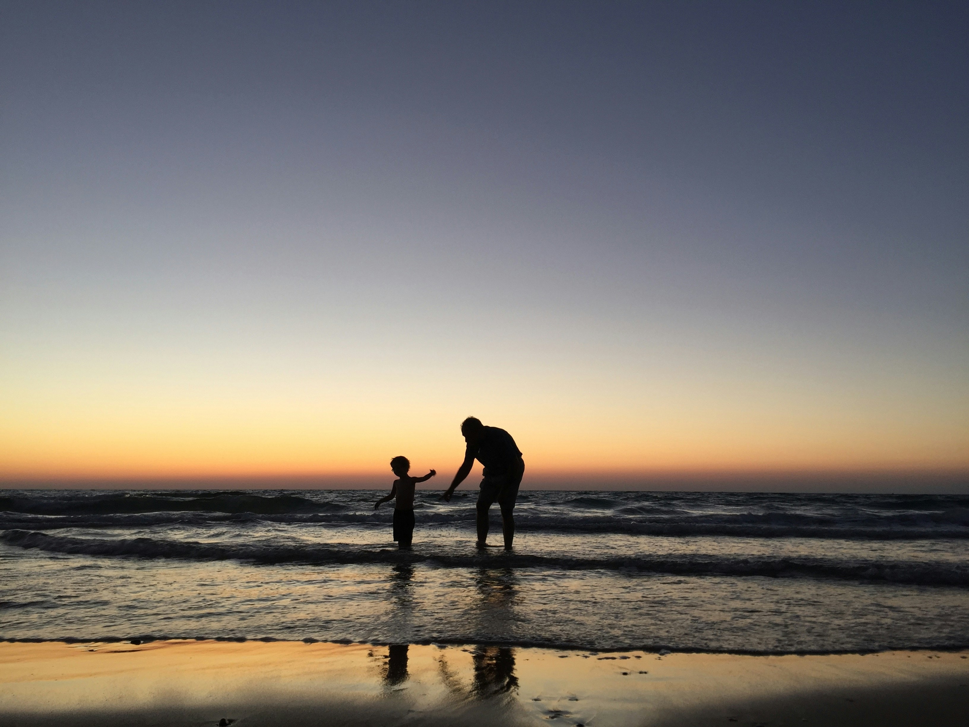 Family Paradise 4